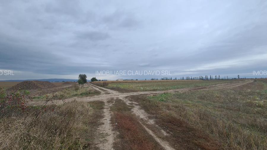 Oază de Natură și Potențial: Teren de 48.100 mp lângă Delta din Carpați - 11