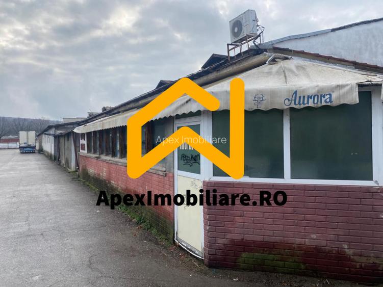 Hale Industriale de Vânzare Baicoi – 1100 mp + 800 mp, teren 5500 mp - 4