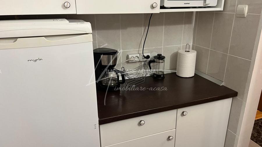 Apartament cu 2 camere -Sala Palatului-str. Ion Campineanu 23. Pet friendly. - 29