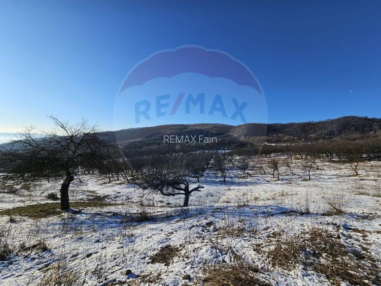 Teren 5,054mp intravilan - Strada Dealul Malului / Ramnicu Valcea - 5