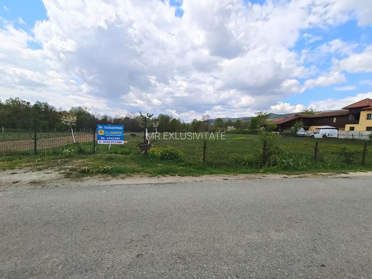 Teren mixt de vânzare Crasna Gorj, aproape de Rânca– 19.209 mp - 6
