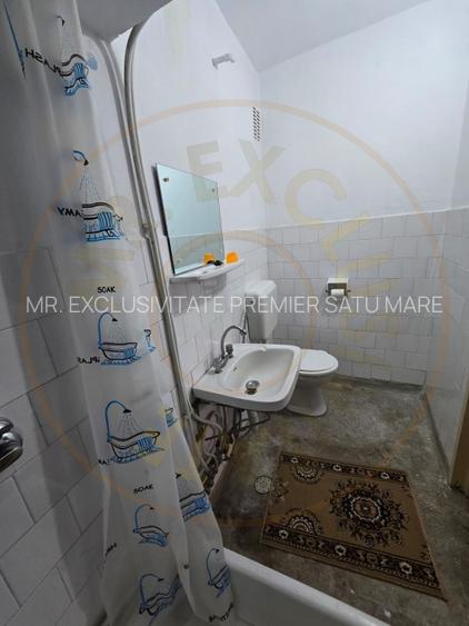 De vânzare apartament 4 camere Careiului Satu Mare - 9