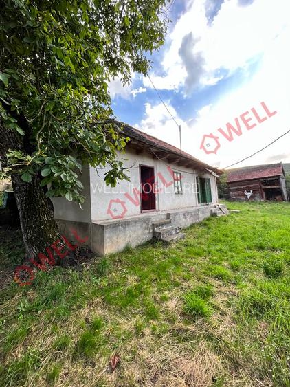 De vânzare casă în Dobolii de sus! - 15
