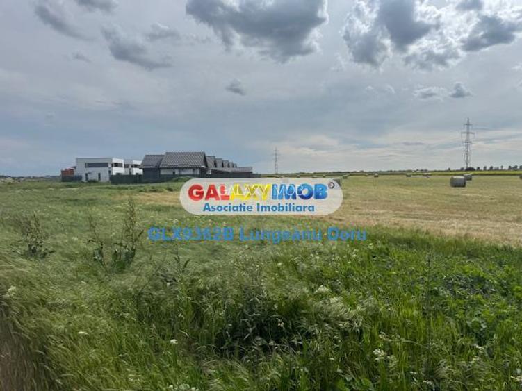 Com Berceni, intravilan 500 mp, Stradal, Curent Electric, Comercial - 13