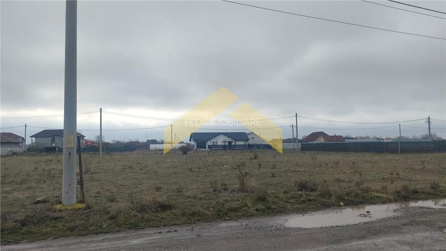 Teren intravilan de vanzare in loc. Mandruloc - 4