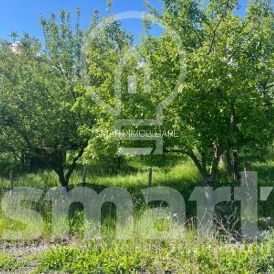 Teren cu autorizatie casa individuala Borhanci - Soporului - 5