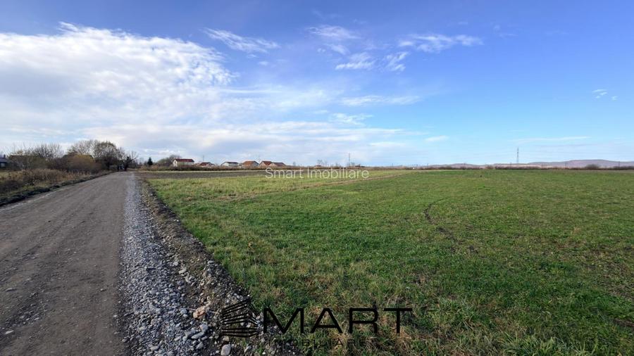 Teren Extravilan 15.000 mp Prejmer - 3