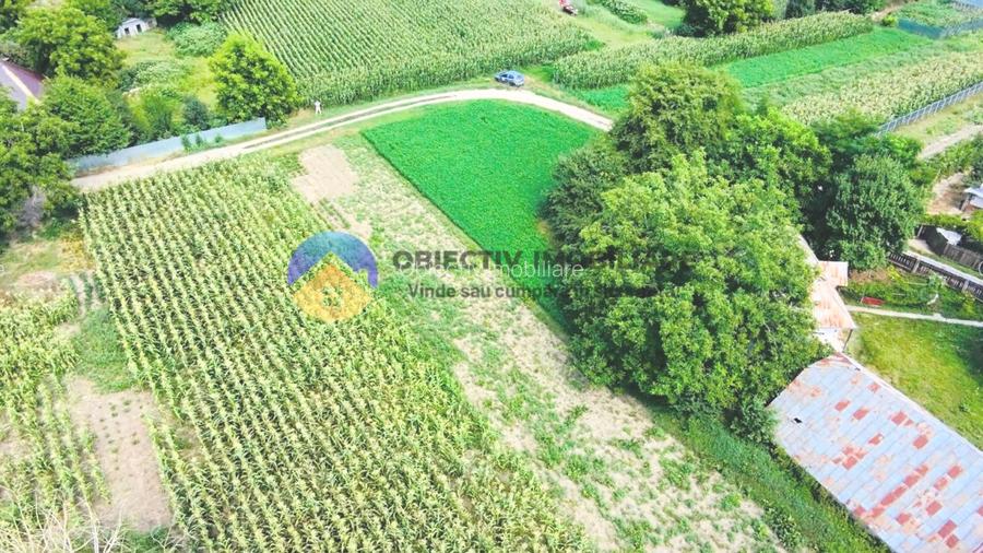 TEREN intravilan GIROV  4133 mp - 11