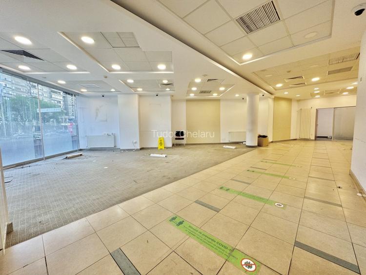 Închiriere Spațiu Comercial Premium central 240mp-Bd. A. Panu, Direct proprietar - 7