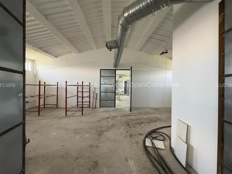 Vanzare hale Horlesti, aproape de Letcani/ Metro, de la 200mp la 2500mp - 7