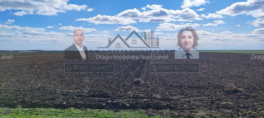 Teren extravilan 13.500 mp/ Valea Marului - 4