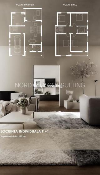 Vanzare vila la Lac Buftea - 17