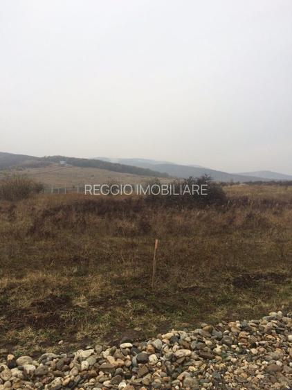 Teren Construcții intravilan de 15500 mp, în Cetate - 5