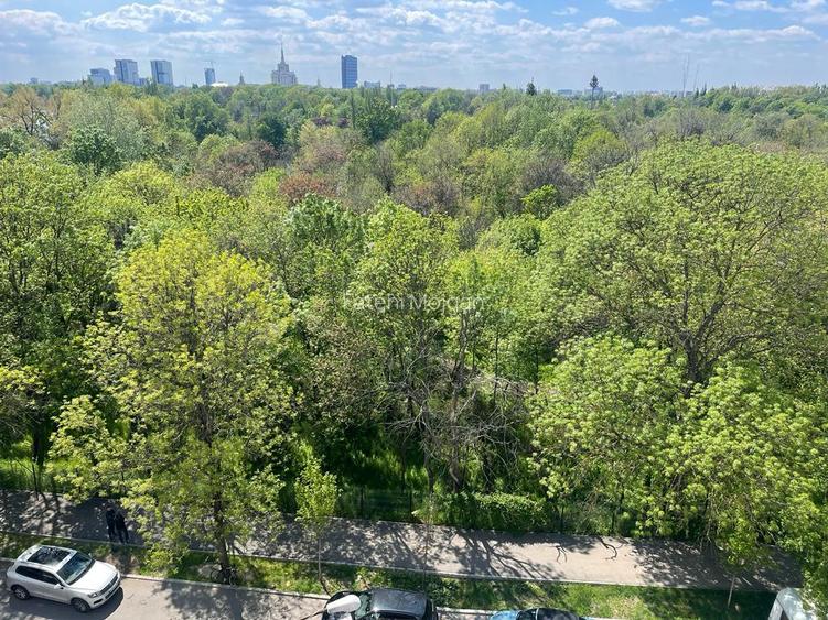 Soseaua Nordului | Herastrau | Spatiu de Birou | Vedere Parc - 14