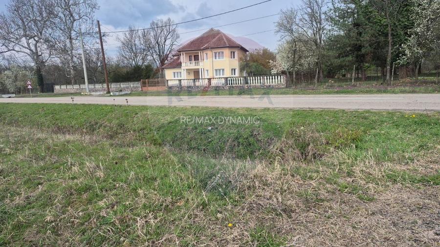 Teren intravilan in  Sebis 5000 mp / Strada Ciutariei - 4