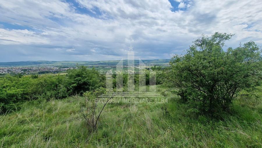 Teren extravilan | De vanzare | 1400 mp | 13 ml deschidere | Paclisa - 3