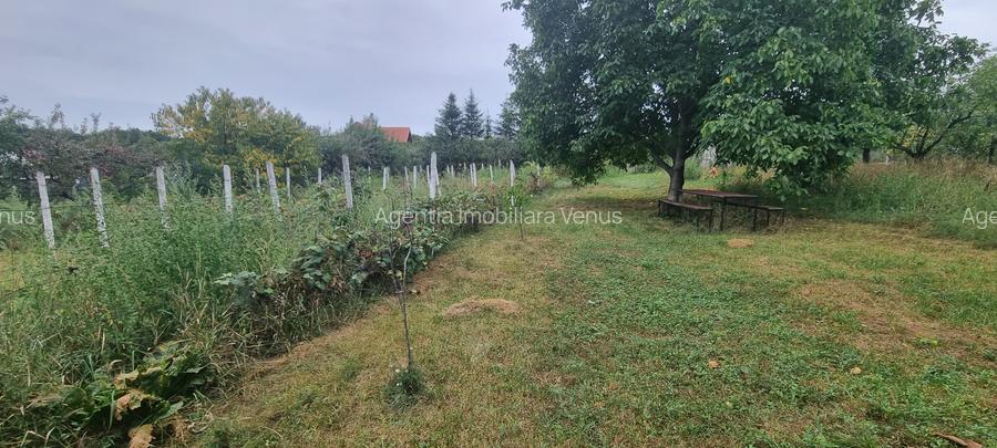 Loc de casa cartier Tulbureni - 2