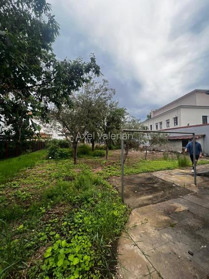 Casa centrala Campina - 4