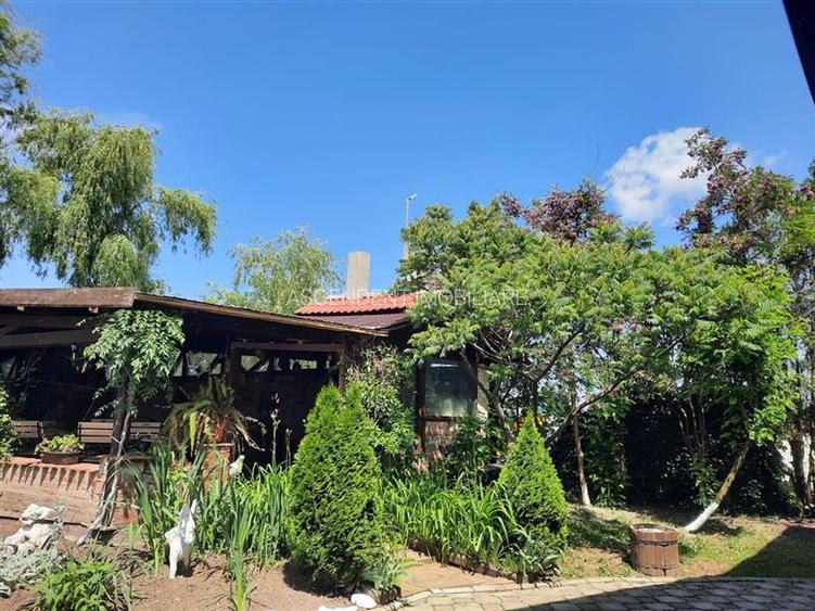 3D! La DN, Spatiu restaurant/ comercial/ activitati divertisment/ Halchiu, Braso - 20