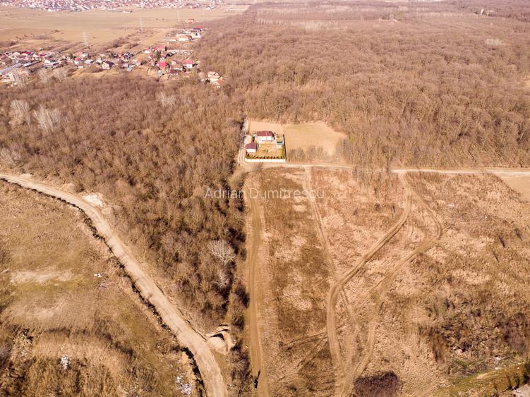 Teren intravilan Măgurele langa padurea Cornetu si Arges - 14