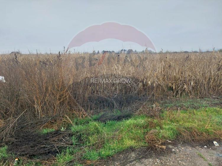 Teren intravilan de vanzare – Nicolae Balcescu, jud. Bacau - 5