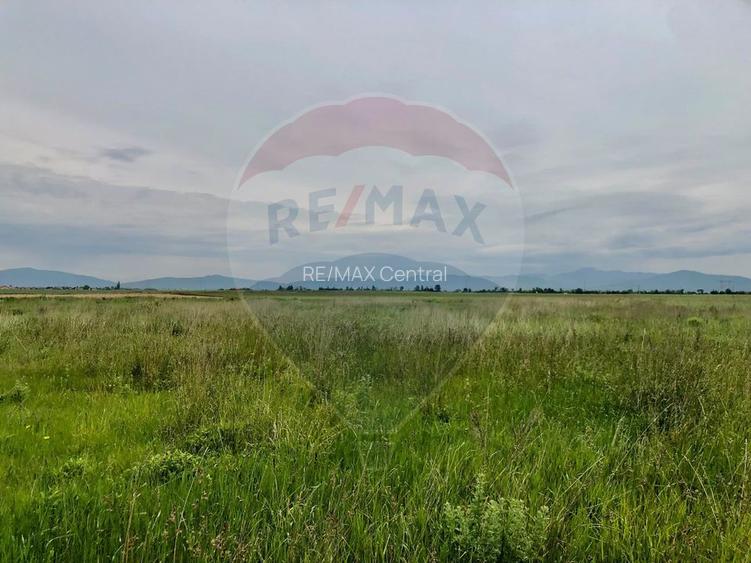 Comision 0% | 4 Parcele 538mp | Harman, Strada MIHAIL SADOVEANU - 8