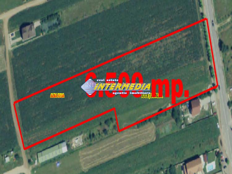 Teren intravilan 6500 mp, deschidere 30 m, PUZ P+2+1+(1), toate utilitățile - 7