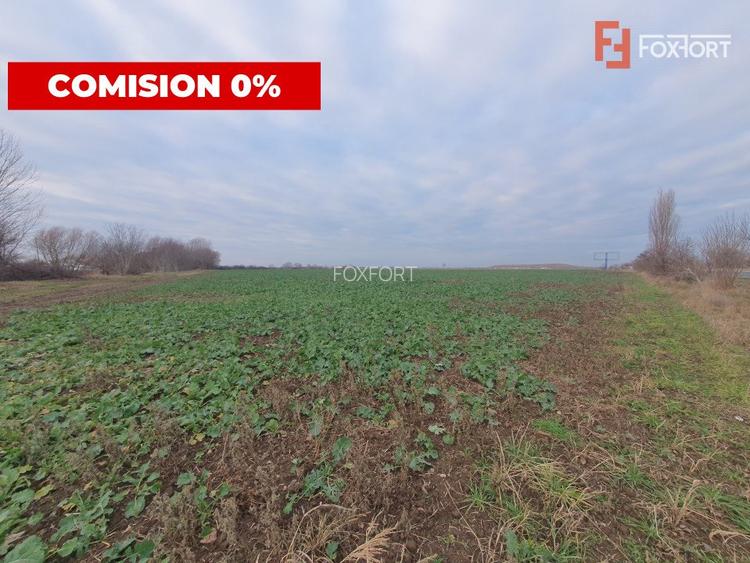 COMISION 0% Teren extravilan 20.000 mp la sosea in Sag  - 5