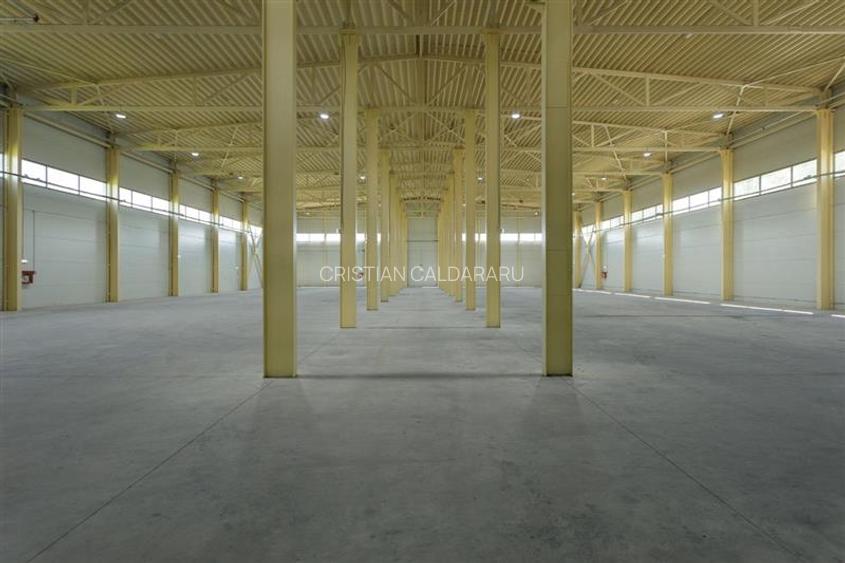 Inchiriere depozit/hala/spatiu industrial Otopeni - Centura - 28