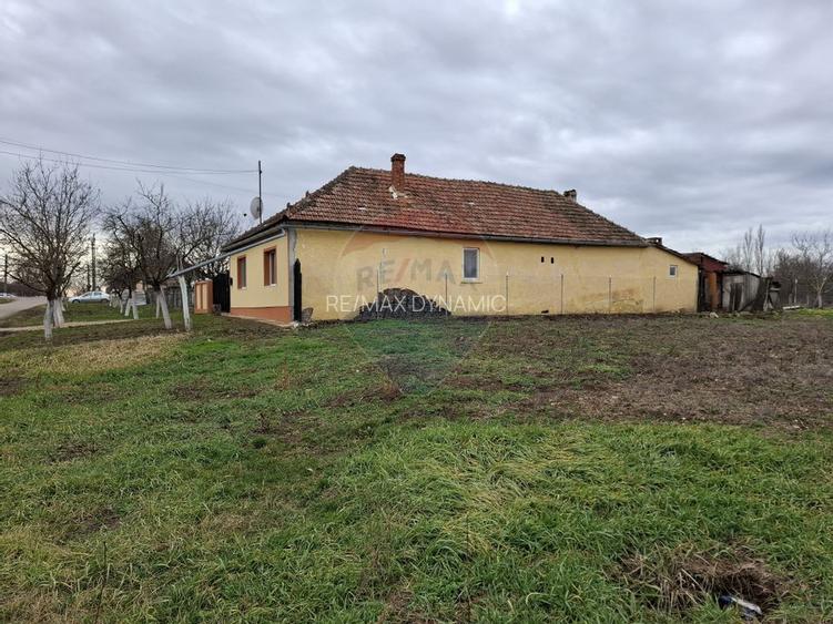 Teren intravilan 1,241mp Frumușeni, Arad - 5