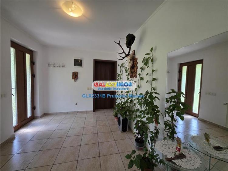 Vanzare vila Moderna situata in apropriere de lacul Mogosoaia- Crevedi - 22