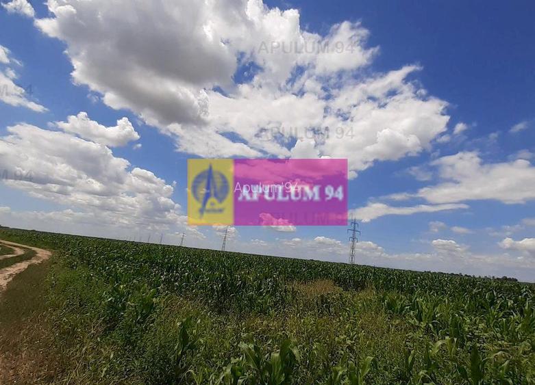 Teren 715mp în Snagov lângă Equestria - 57