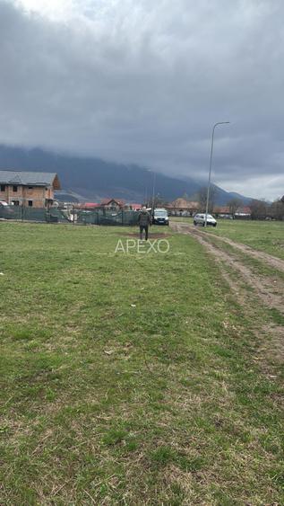 Teren intravilan pentru constructii Zarnesti - 4