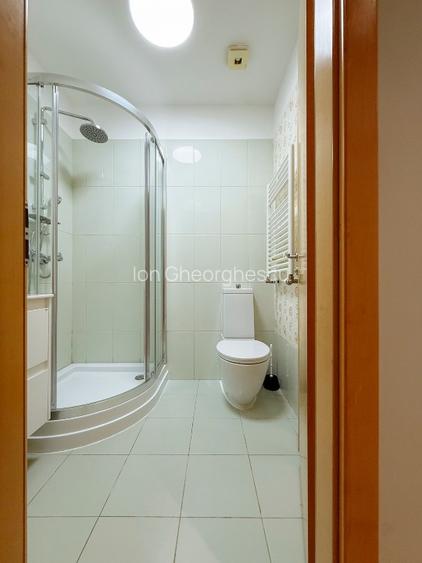 Apartament 4 camere cu gradina in zona Iancu Nicolae - 11