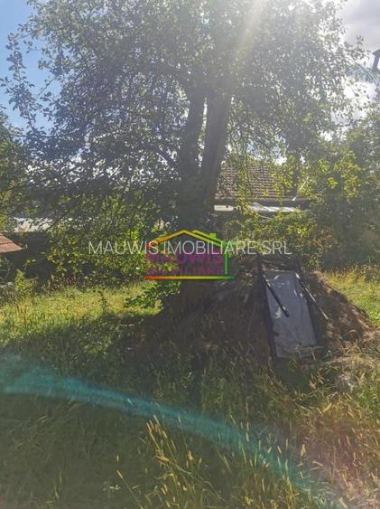 Casa P S cu teren ultracentral in Breaza - vis-a-vis de Liceul Militar - 25