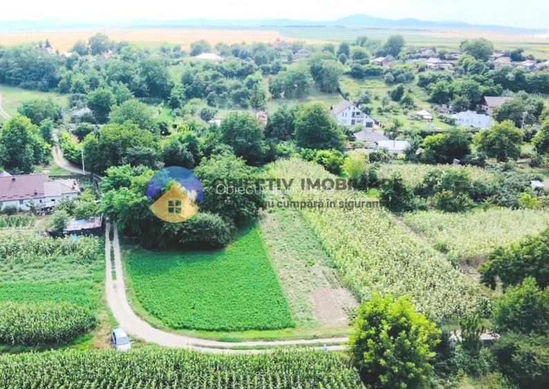 TEREN intravilan GIROV  4133 mp - 5