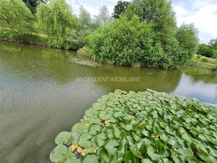Domeniu de 30.000 mp + lac propriu +Vila protocol + Special - 12