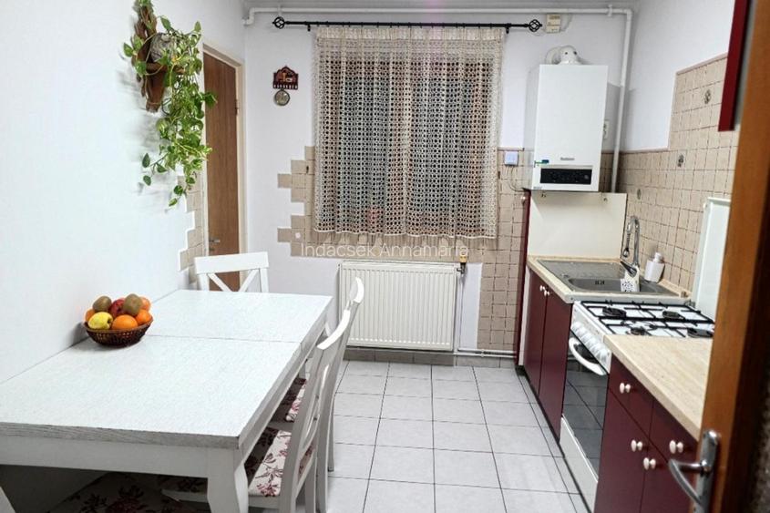 Apartament 5 camere + opțional 1 sau 2 garaje la demisol (A. Vlaicu – Stupilor) - 12