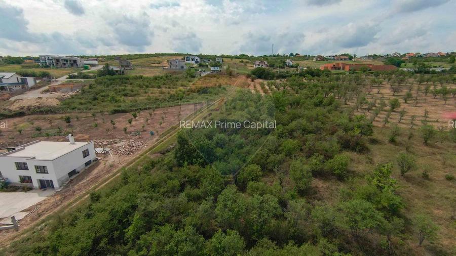 Teren intravilan 1,163mp de vânzare în Săldabagiu De Munte - 5