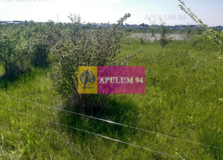 Teren bun mare și ieftin - 12