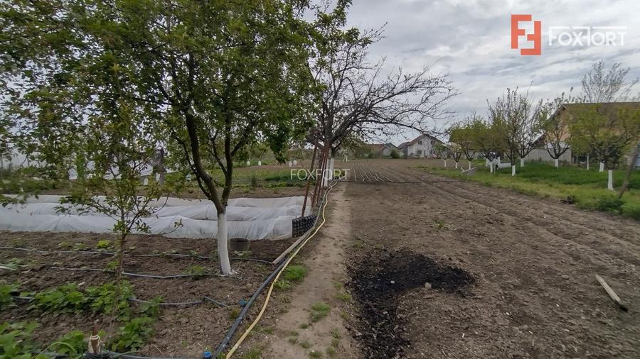 Casa individuala 3 camere, Sanmihaiu Roman - Anexe, 1062 mp teren - 15