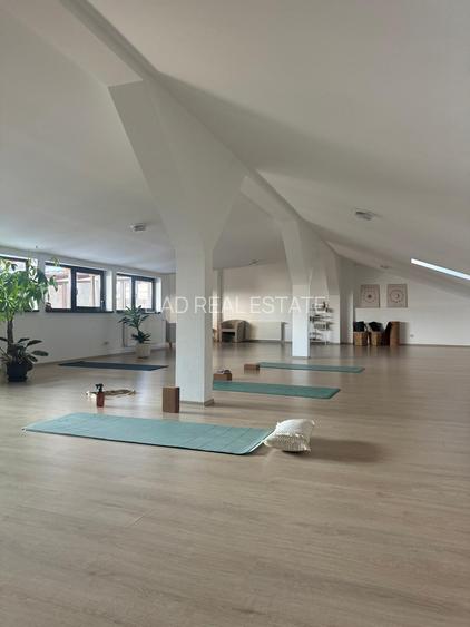 Studio sau birouri mansarda Universitate - strada Sfintilor 6 - 2
