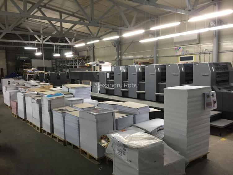 OTOPENI ODAILE HALA Productie si depozitare 1000 MP - 4