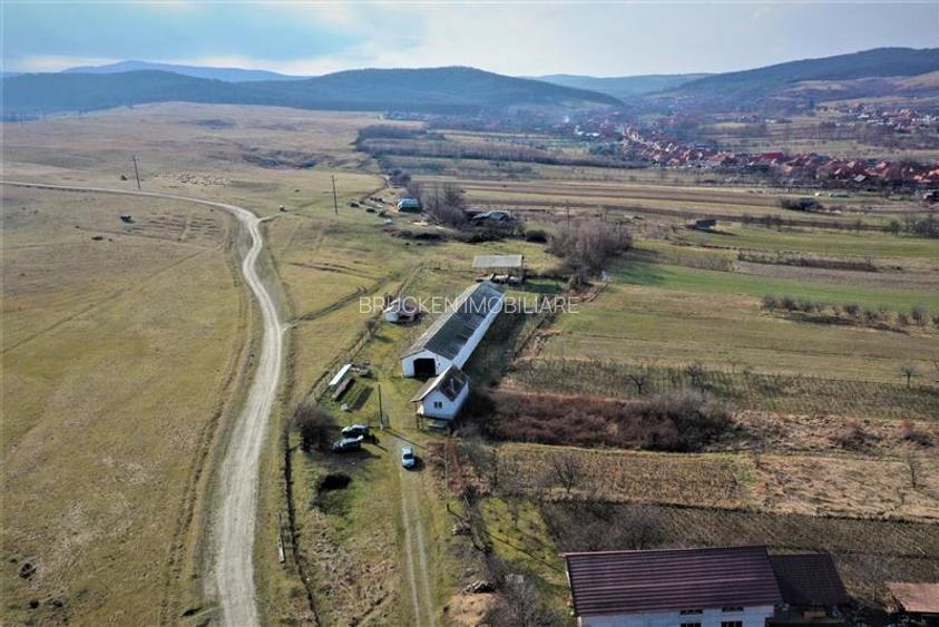 MICRO-FERMA + CASA IN VOIVOZI - BIHOR - 7