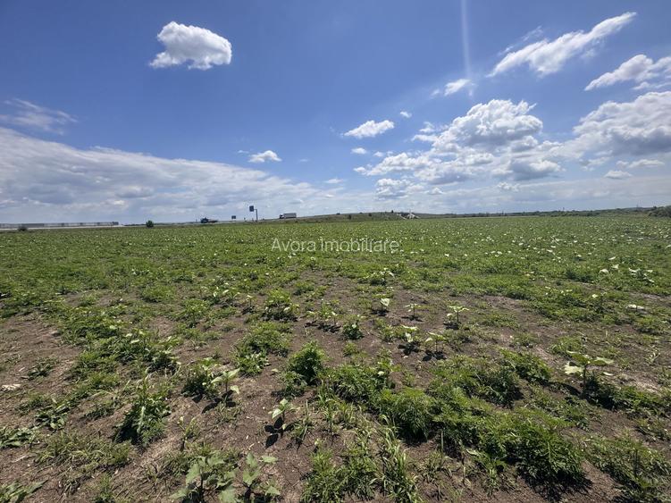 Teren de vanzare – Locatie strategica langa aeroport - 3