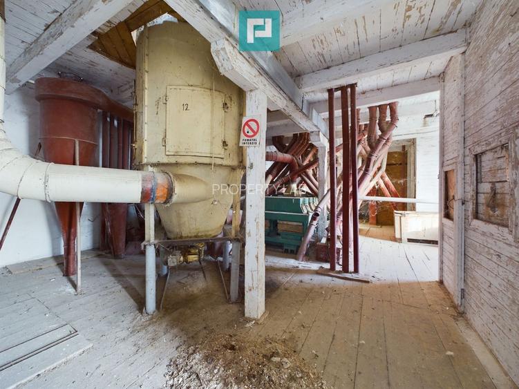 Moară de vânzare în comuna Periam, județ Timiș - 4