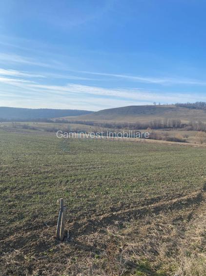 Teren extravilan 3900 mp, Mierlău, Bihor - 2