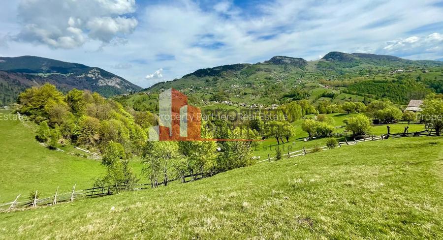 Teren in sat Pestera, comuna Moeciu. - 5