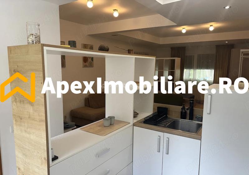 Garsoniera de inchiriat Cismigiu București | ApexImobiliare.ro - 7