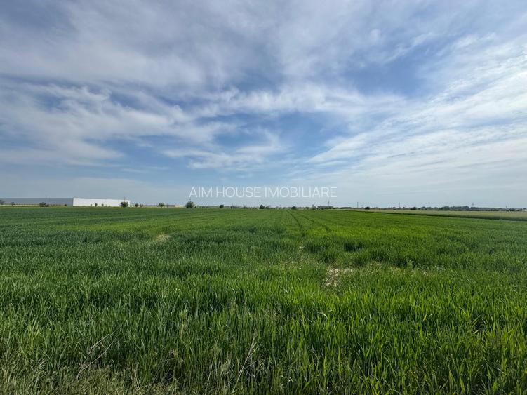OPORTUNITATE| Teren intravilan 5.000 mp | Ghionea – Ulmi – Giurgiu |dubla D - 6